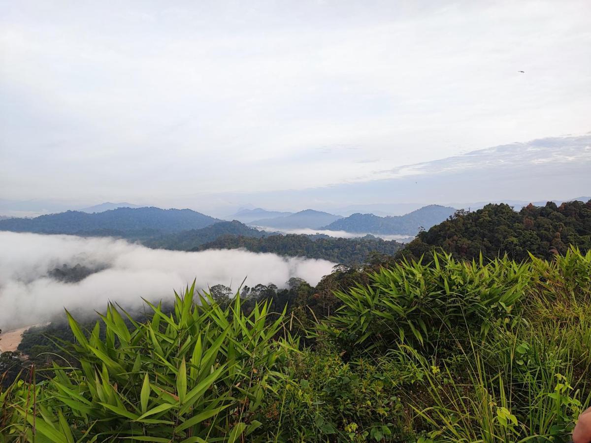 Tekoma Resort Taman Negara Куала-Таган Екстер'єр фото